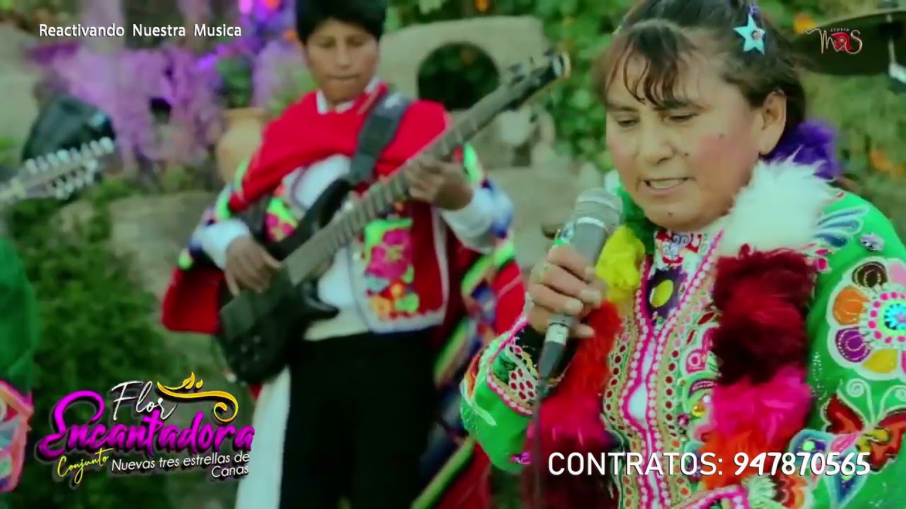 TRES ESTRELLAS DE CANAS 🎶Suegra Maldita -Autor: María S. Paredes Huarancca🌺FLOR ENCANTADORA.