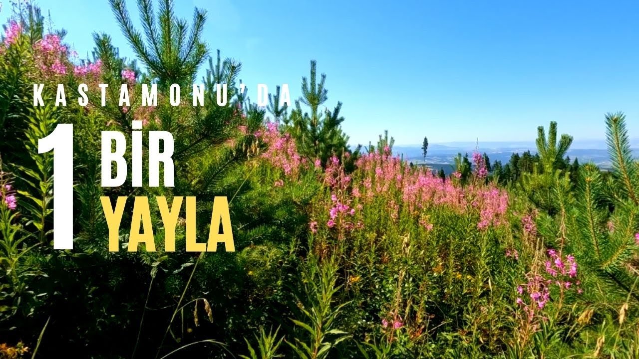 Kastamonu'da Bir Yayla | Saraydüzü Yaylası