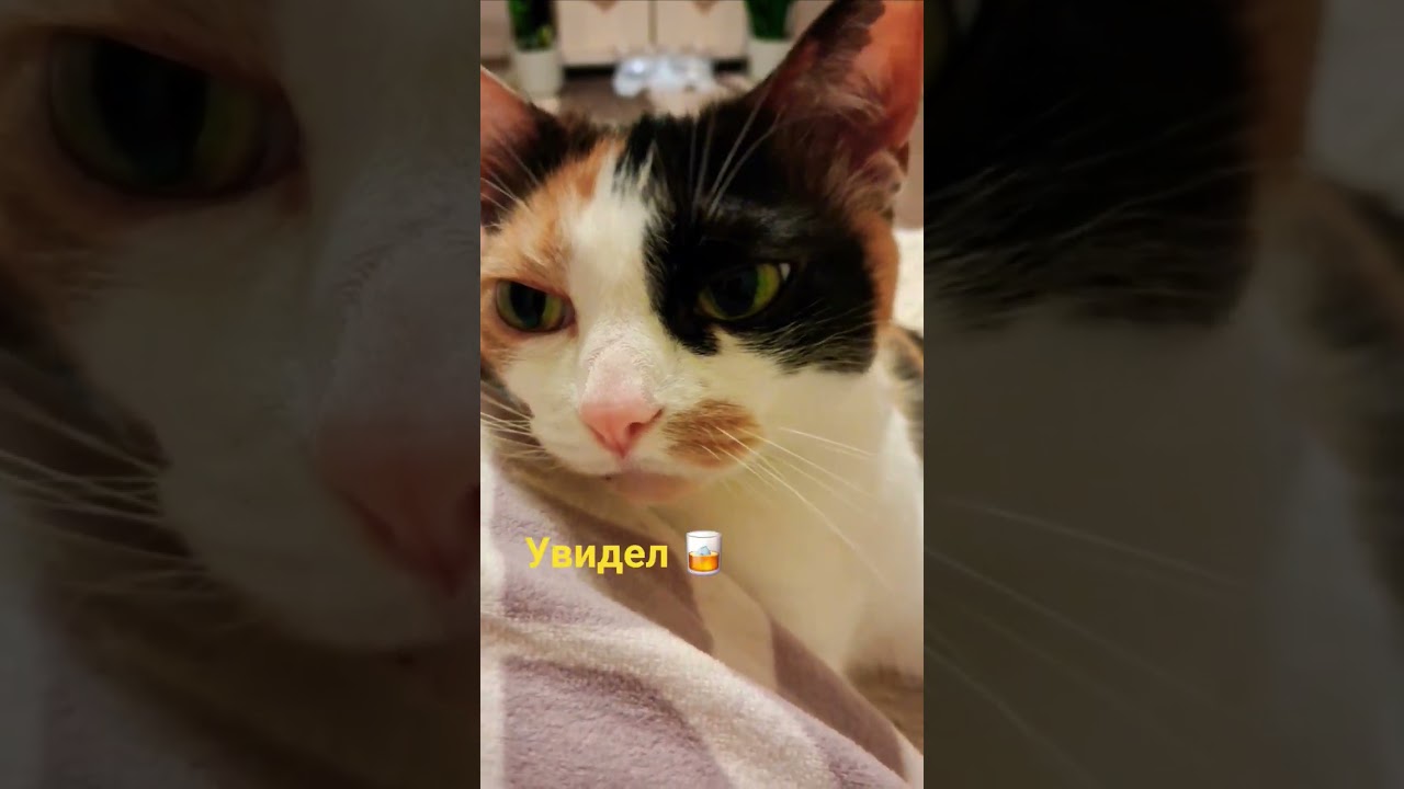 МИНЕРАЛКА 💧🥃😼🤣 