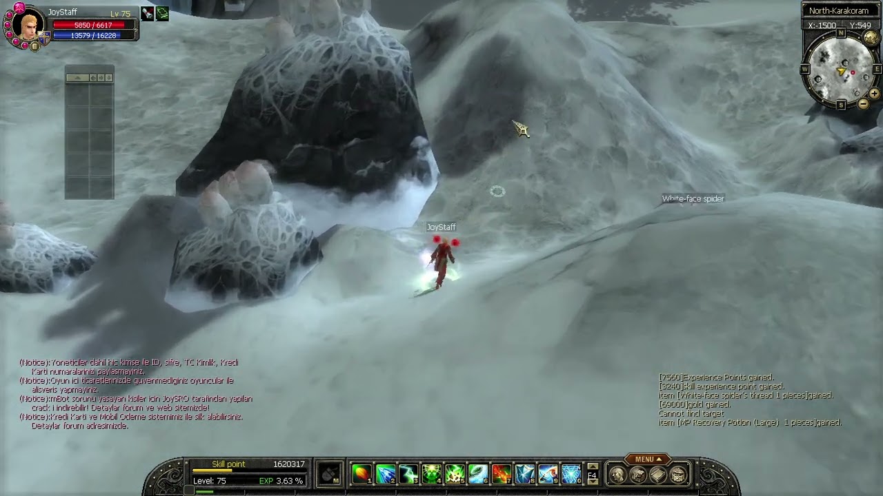 Silkroad online - Wizard/Cleric white-face spider mob #Joysro