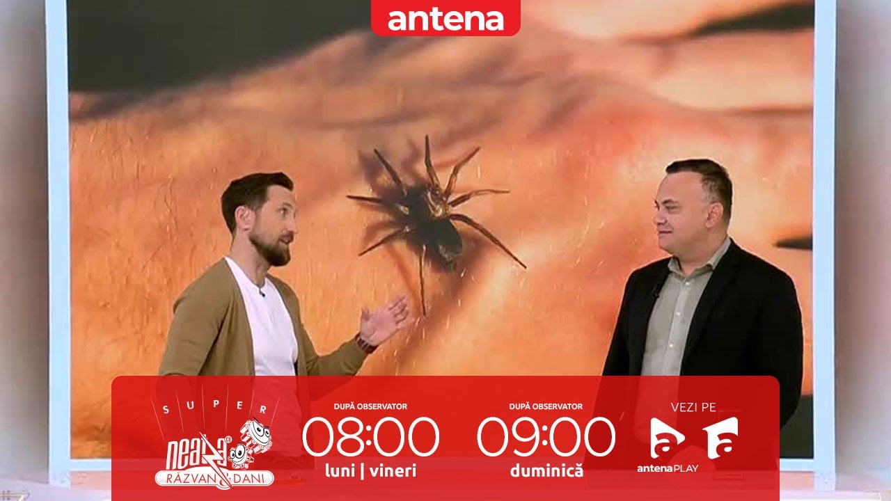 Mușcătura de păianjen. Cum arată şi ce tratamente există | Detalii oferite de Adrian Marinescu