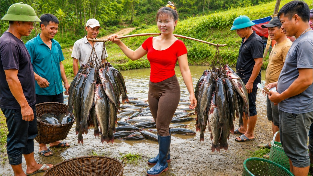 Farm Girl Harvests A Lot Of Big Fish In Deep Mud Pond - Villagers Buy Them All