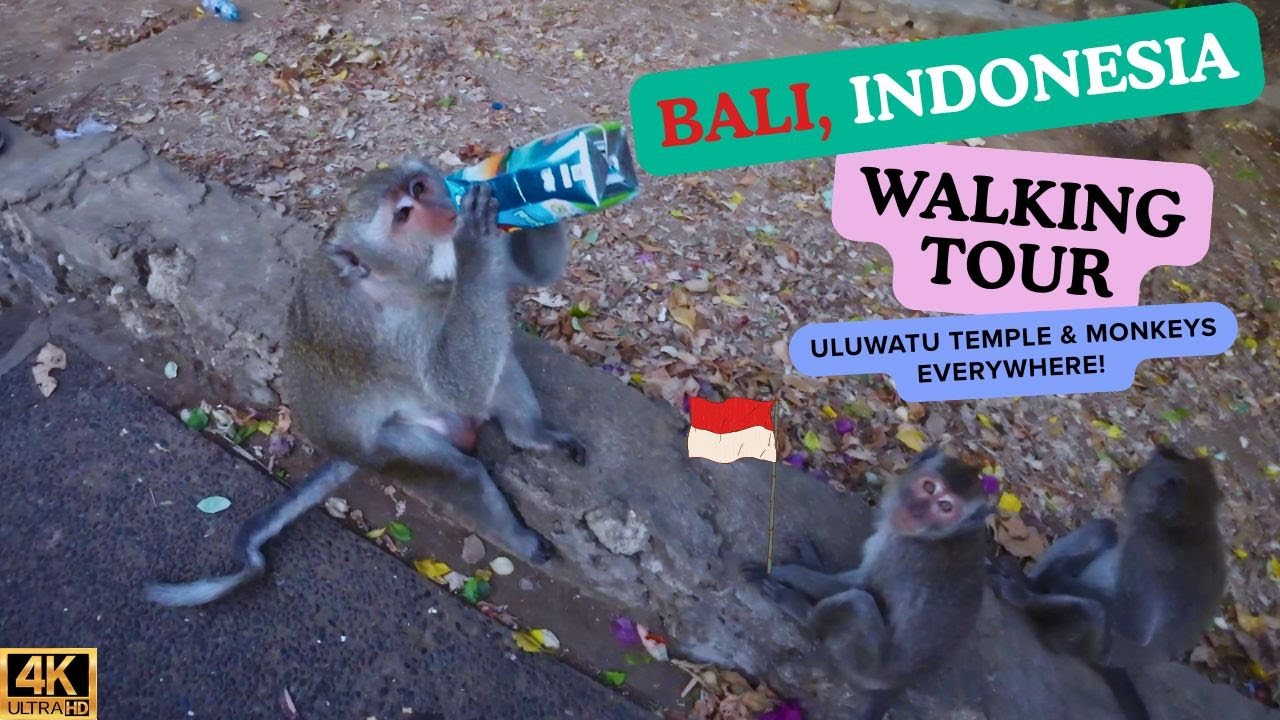 Bali Walking Tour 🇮🇩 Uluwatu Temple & Monkeys | 4K Travel Guide