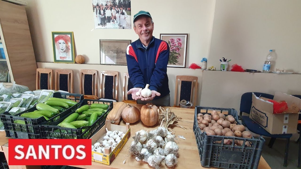 PROIZVODNJA BELOG LUKA ISPLATIVA NA MALOJ POVRŠINI