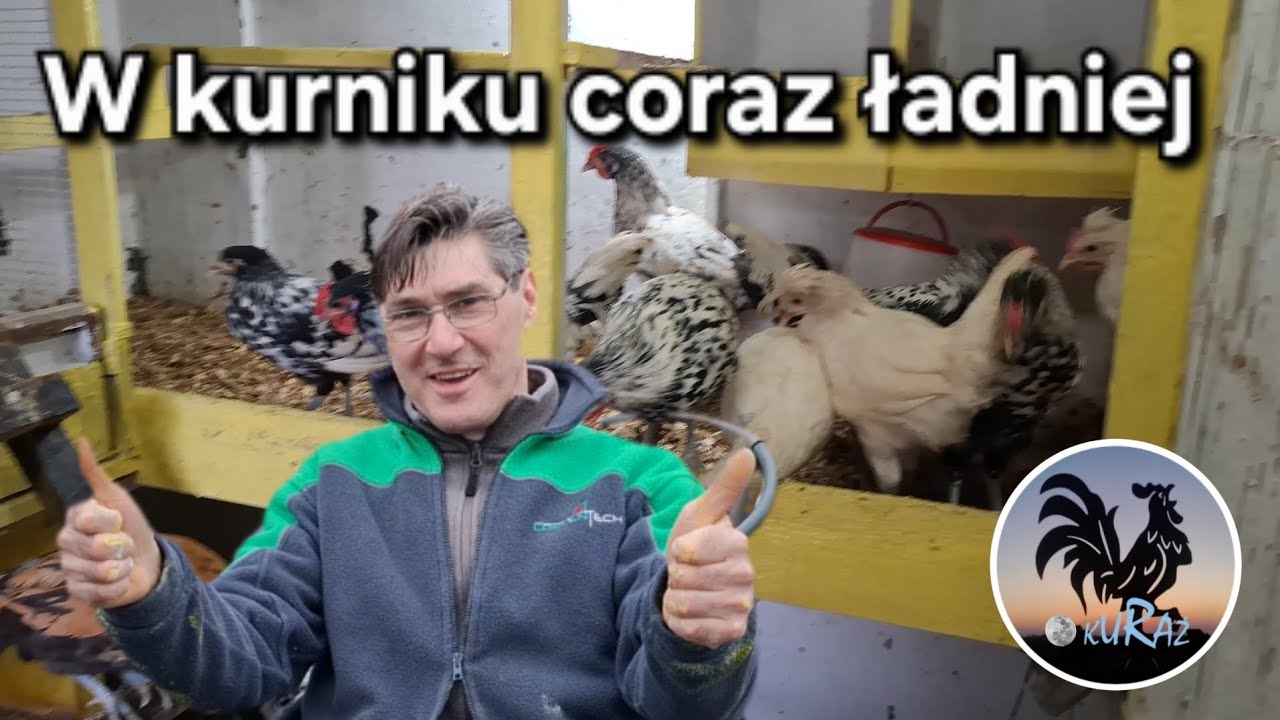 Z kanarkami i kurkami * nowe drzwiczki w kurniku  * 07.02.2026