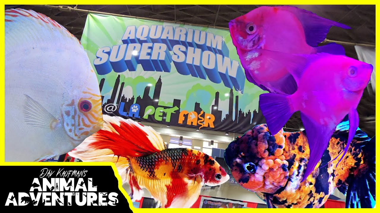AQUARIUM SUPER SHOW POMONA! (LA Pet Fair)