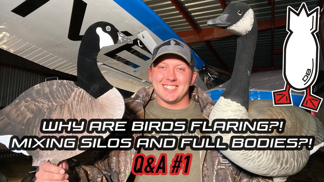 WATERFOWL HUNTING Q&A - Ep #1 Field Facts with Forrest