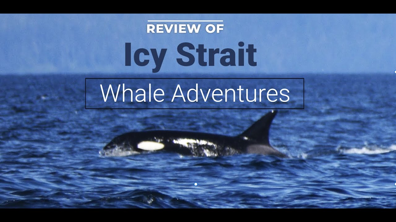 Review of Icy Strait Whale Adventures Excursion.