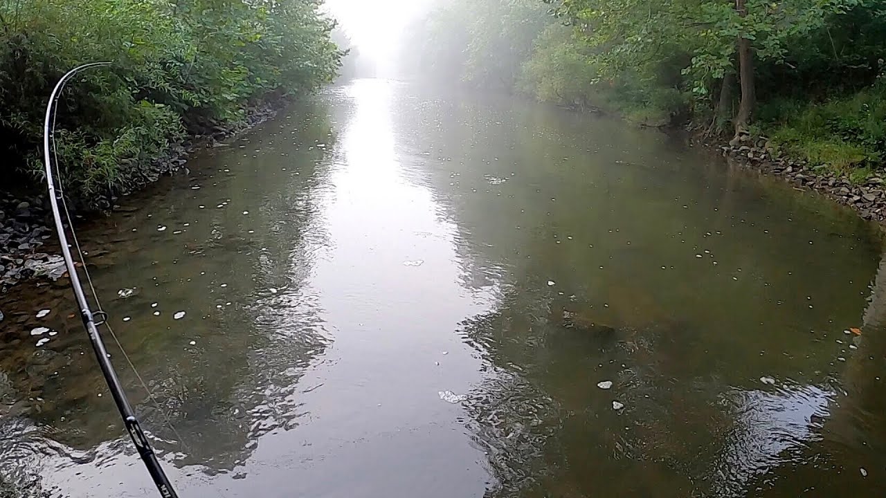 CREEK MONSTERS! Giant Ohio Smallmouth Fishing! Rebel Grasshopper
