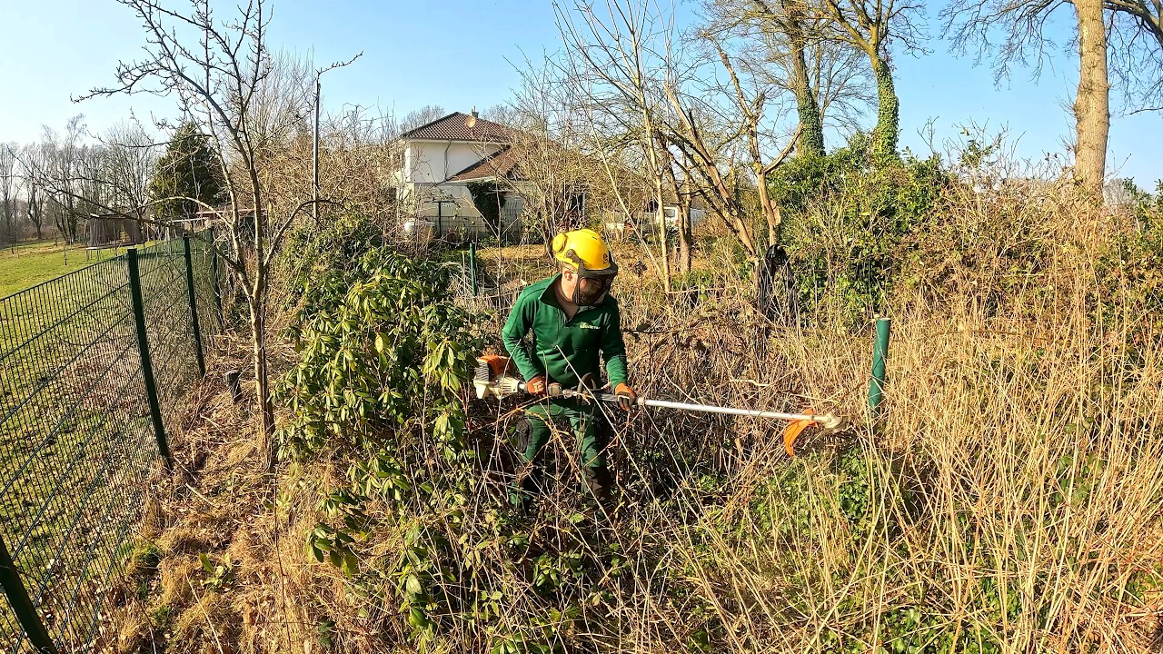 I CLEARED the OVERGROWN Area to Make for a Future PLAYGROUND
