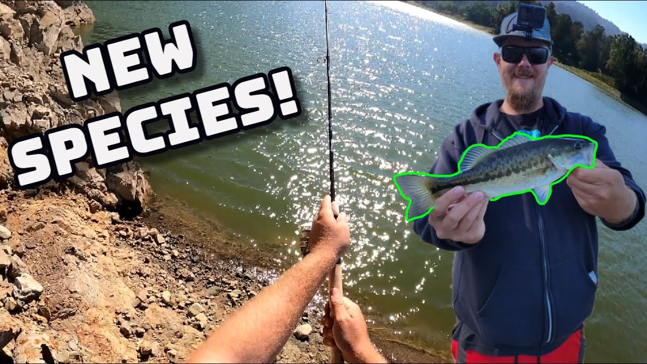 Lexington Reservoir Spotted Bass! (Exploring New Waters)