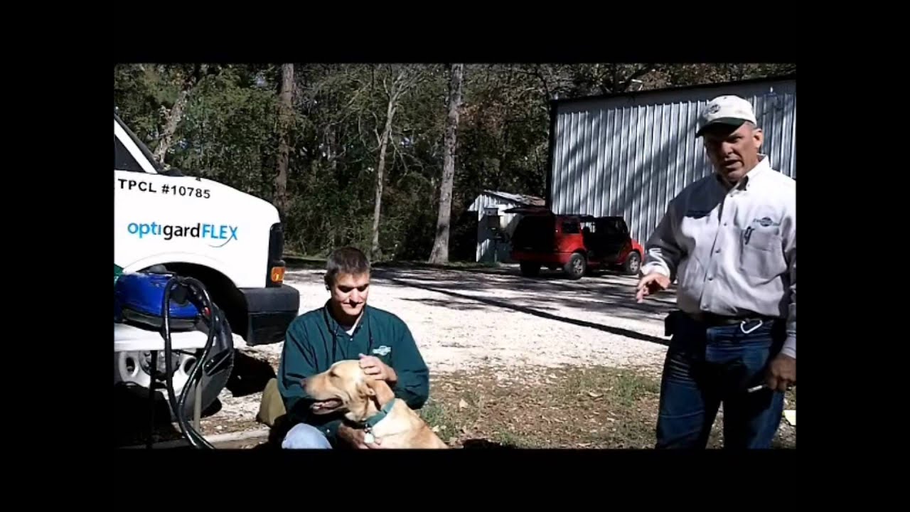 Duke the Bed Bug Dog Demonstrates Detection Skills