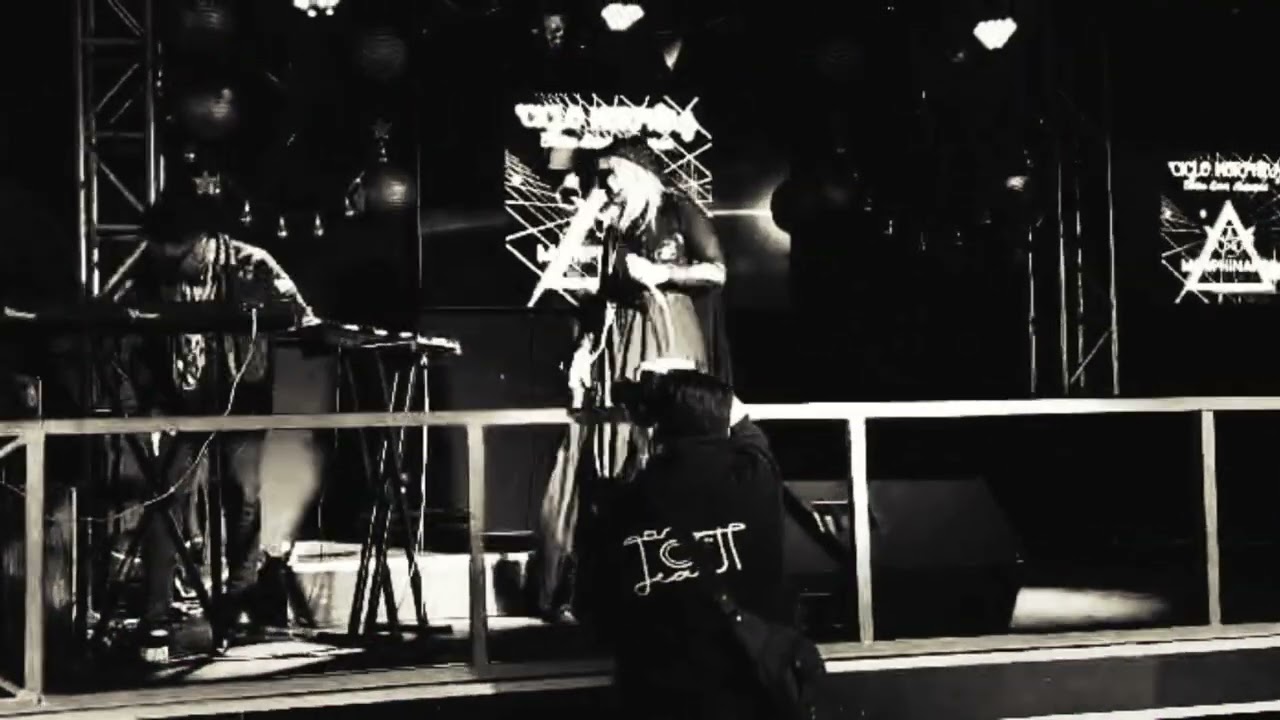 vioflesh - Spring Nostalgia (Live)