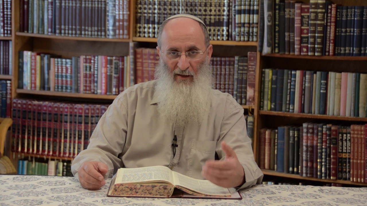 התורה מתכתבת עם חמורבי - הרב אורי שרקי