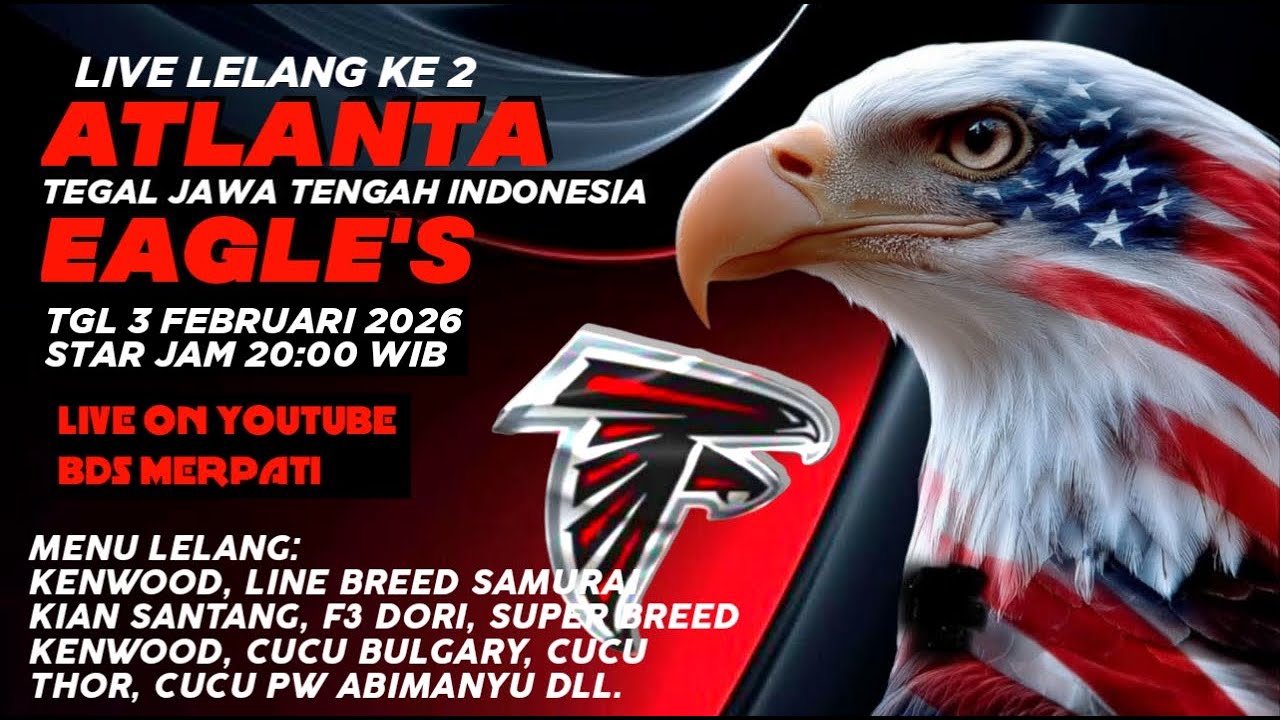 LELANG MERPATI TEAM ATLANTA EAGLES TEGAL//BDS MERPATI//LIVE LELANG