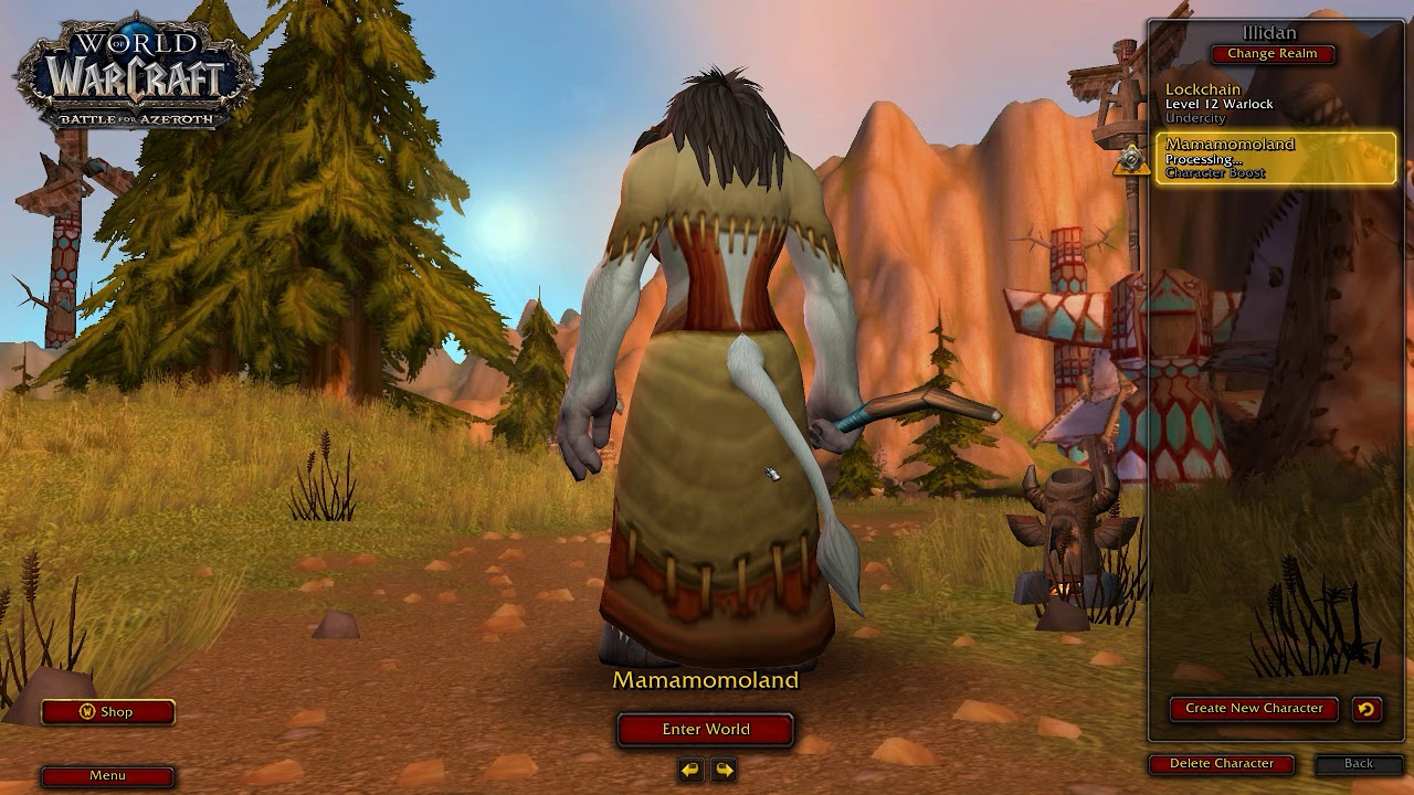 World Of Warcraft | Boost to Level 110 Process