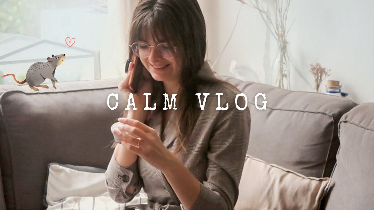 A Quiet Day At Home 🐀 Calming Vlog