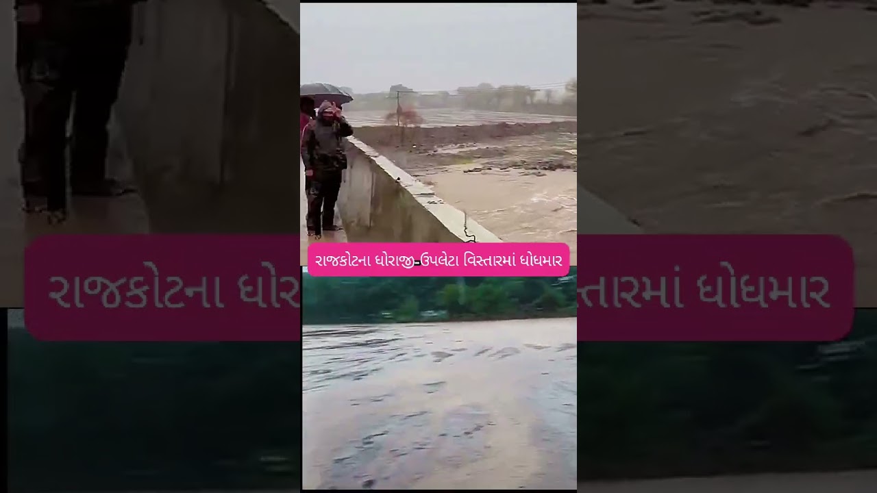 રાજકોટમાં ધોધમાર વરસાદ! સાતવડી નદી બે કાંઠે | Heavy Rain in Dhoraji, Rajkot #rain #heavyrain #rajkot