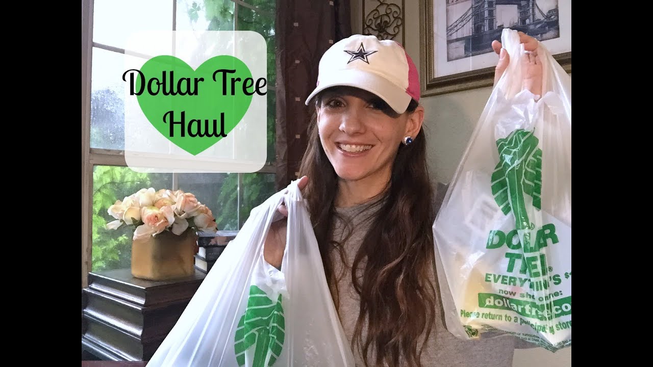 DOLLAR TREE HAUL | JUNE 2016 |CheapCraftyGirl
