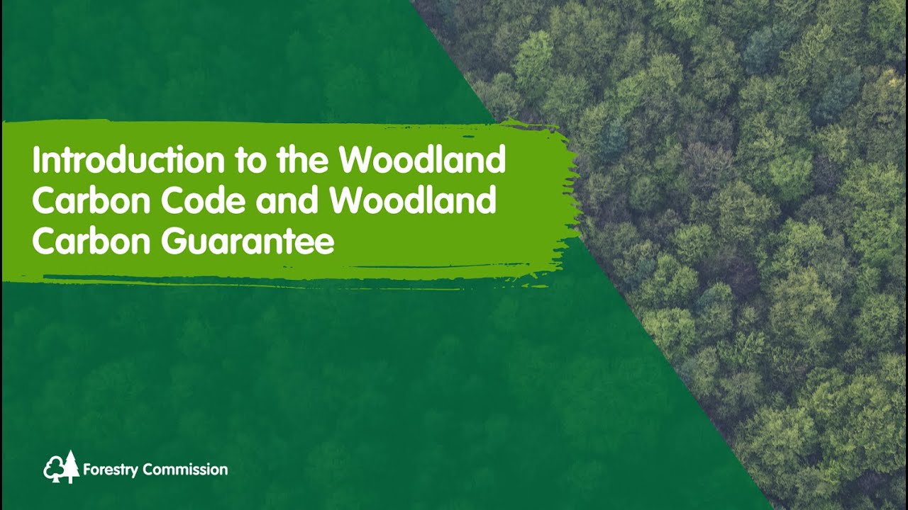 Introduction to the Woodland Carbon Code and Woodland Carbon Guarantee.