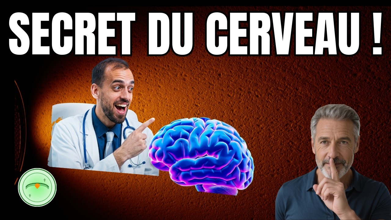 Le Cerveau et la Santé Expliqués : Neurosciences Pour Optimiser Votre Bien-être Quotidien 🧠💚