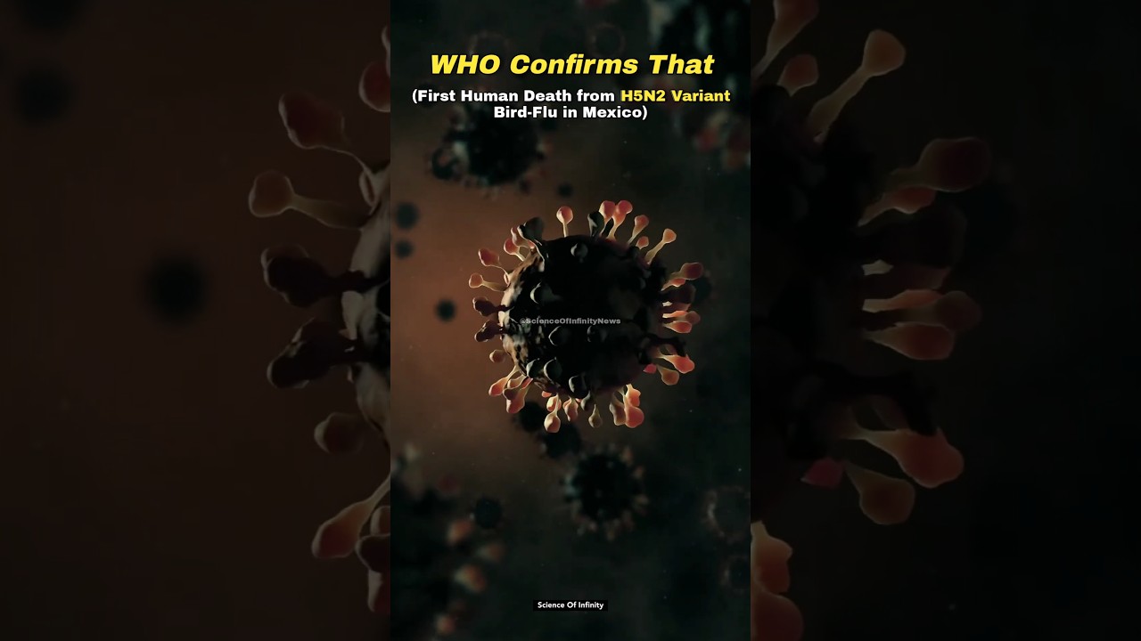 First Human death from H5N2 Bird flu 😱🤯 #shorts #space #who #virus #covid19 #news