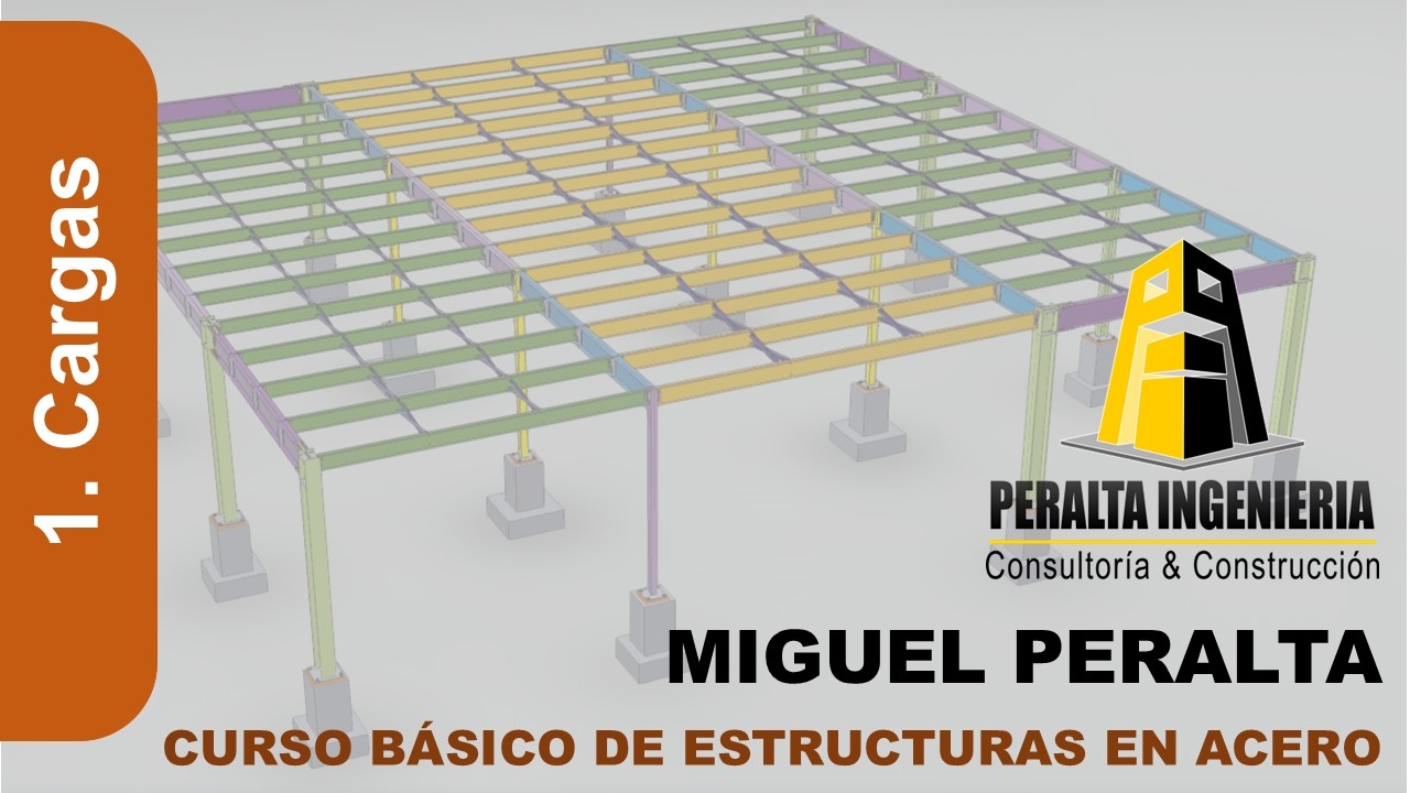 Punto 1: Estimación de cargas para el modelado del PRM