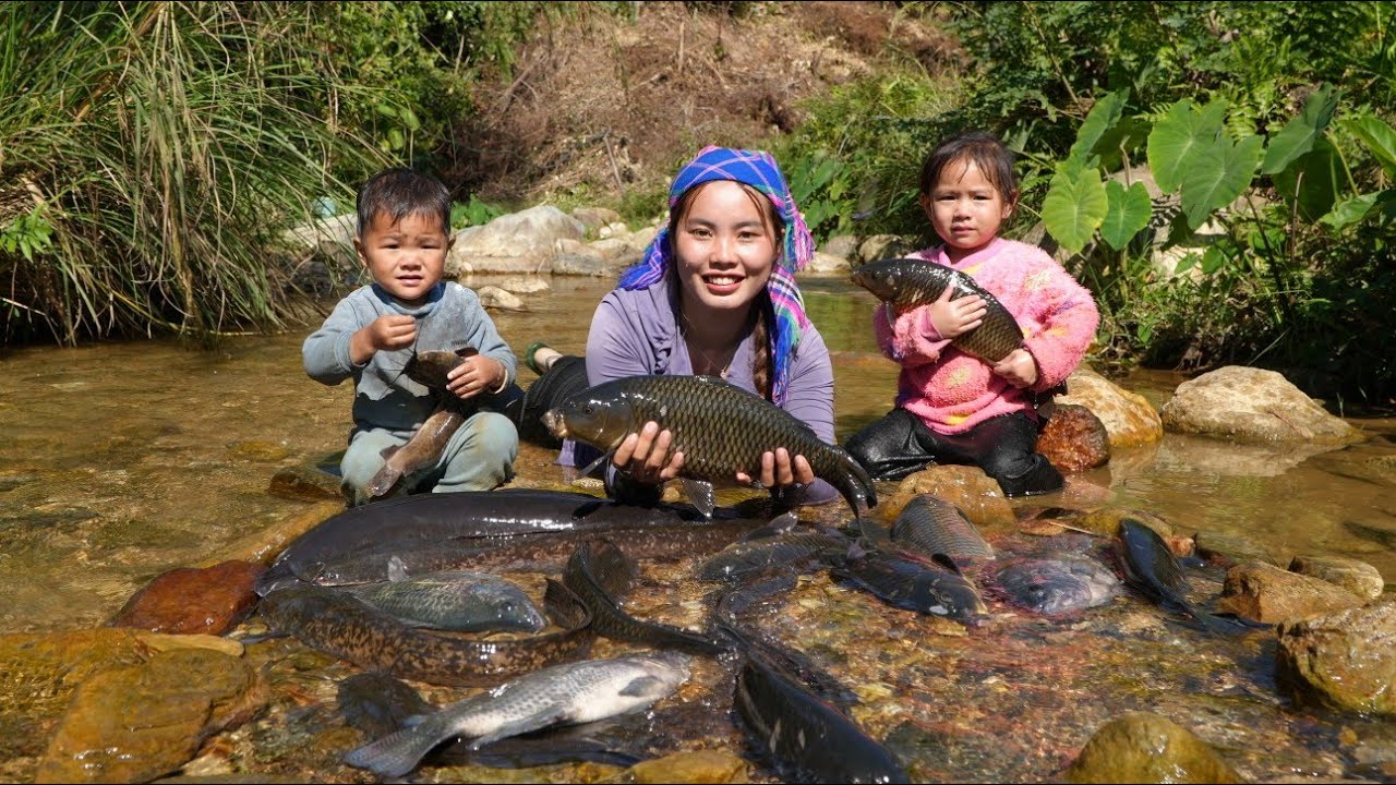 Catching giant river fish by hand with young son to sell at market - taking care of ducklings