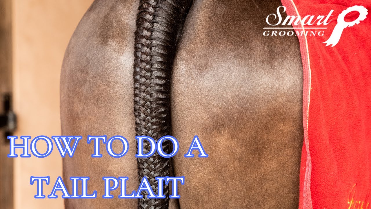 HOW TO DO A TAIL PLAIT