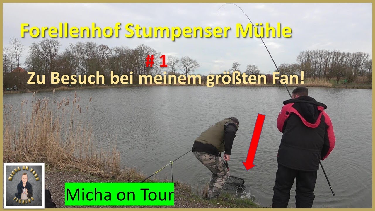 Forellenangeln mit Ultralight und Powerbait! / Forellenangeln mit Erfolg!