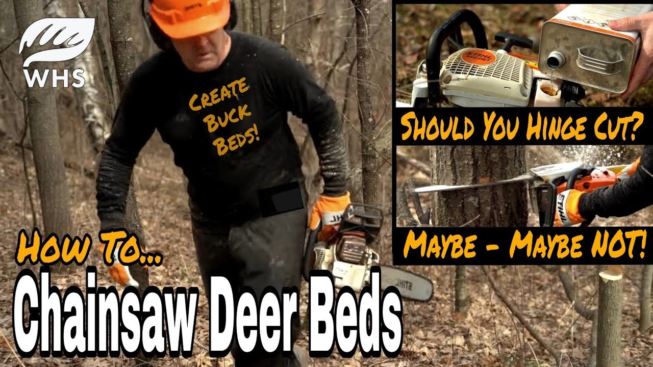 How To Cut & Create Deer Beds
