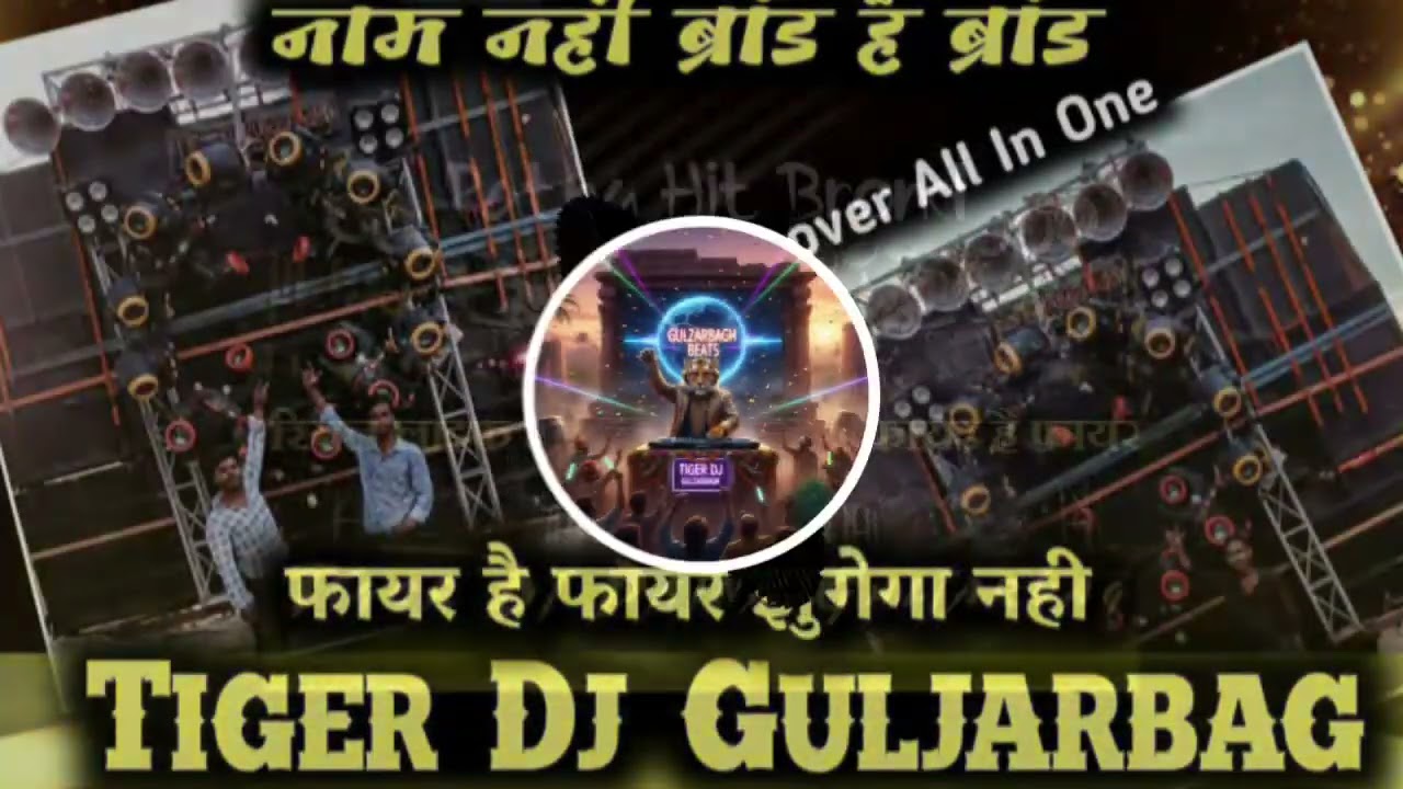 हम आप लोग के मनोरंजन के लिए आई हैं TIGER🐅DJ गुलज़ारबाग वाले 