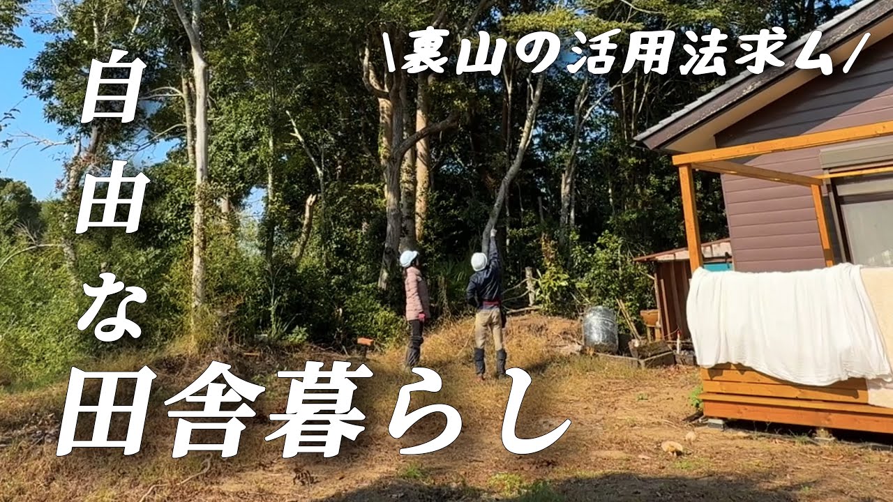 【田舎暮らし】裏山の開拓スタート！ニワトリ放牧場の解体【移住111】