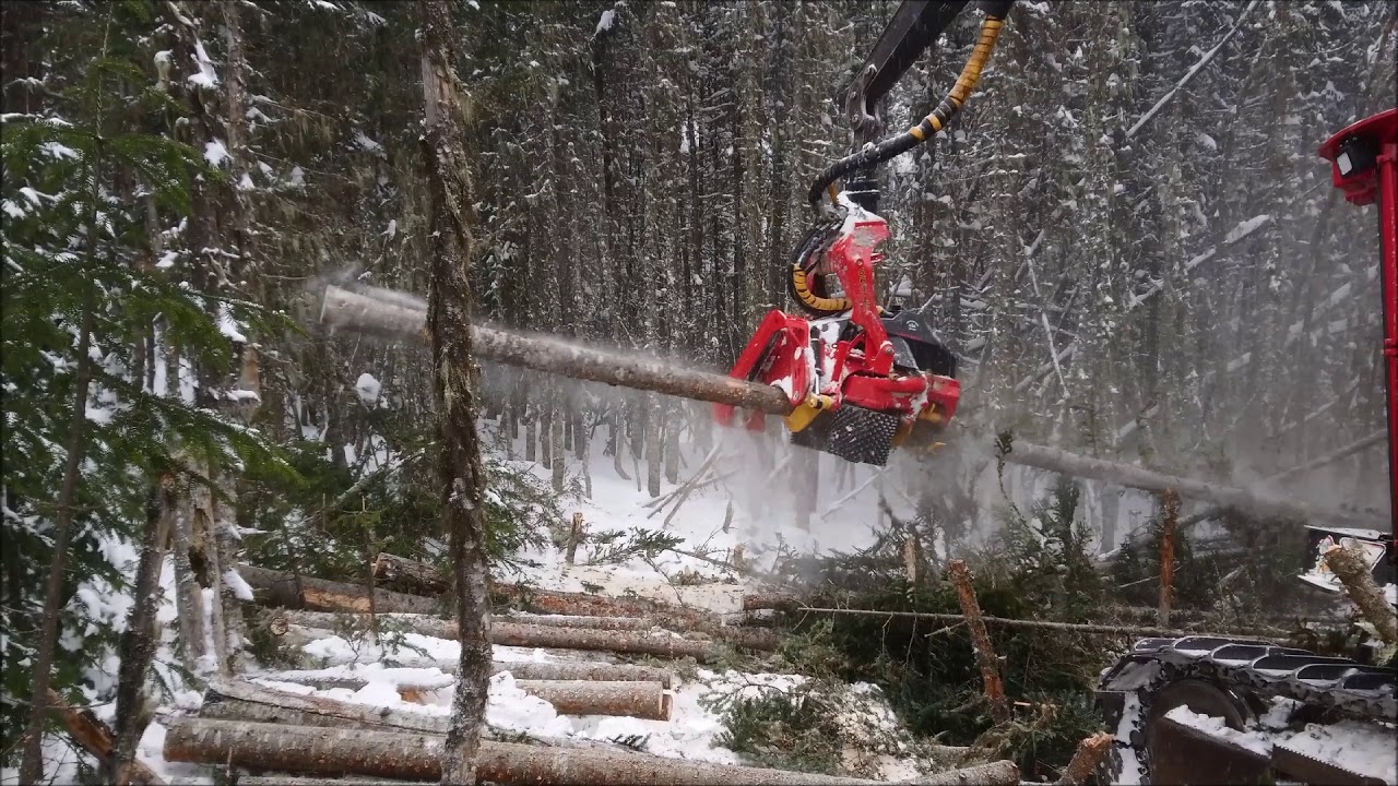 SP 661 LF Canada 2018