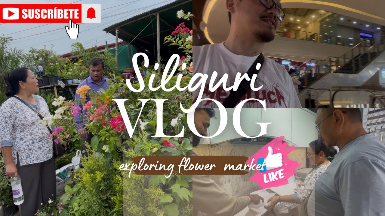 Cheapest Plants & Flowers in Siliguri near Balason Bridge