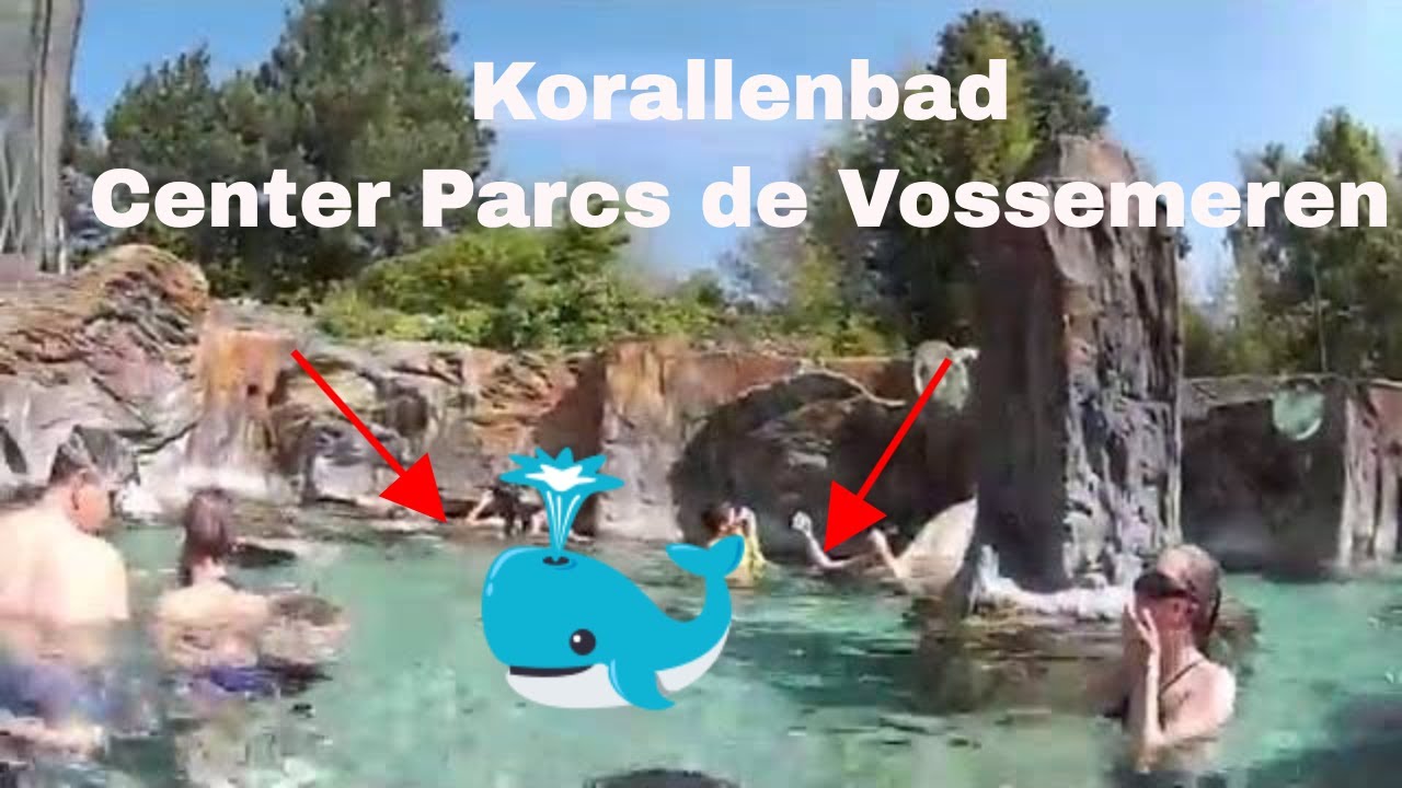 Korallenbad im Center Parcs de Vossemeren