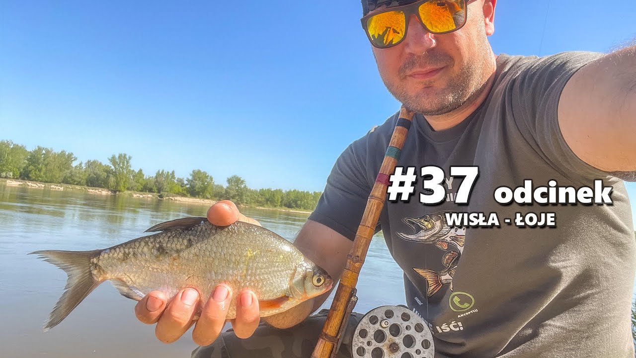 Łowie ryby na bambusową wędkę z PRL | 37. odcinek &ndash; Łoje