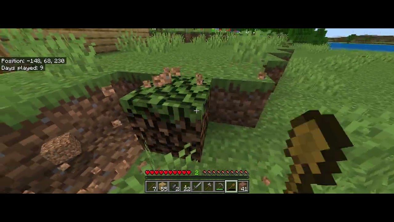 Playing in my survival world!