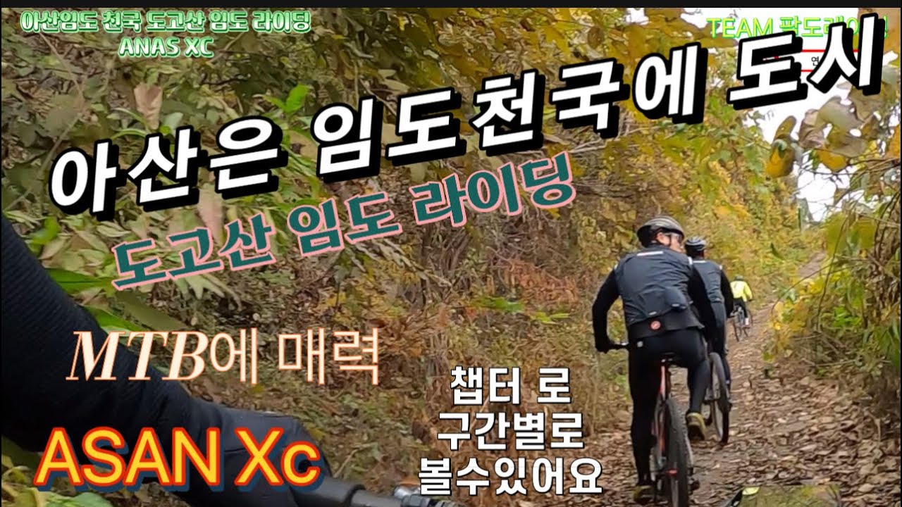 아산에는 임도가 엄청 많아요 도고산임도 라이딩 #ASANXC#임도라이딩#산악자전거