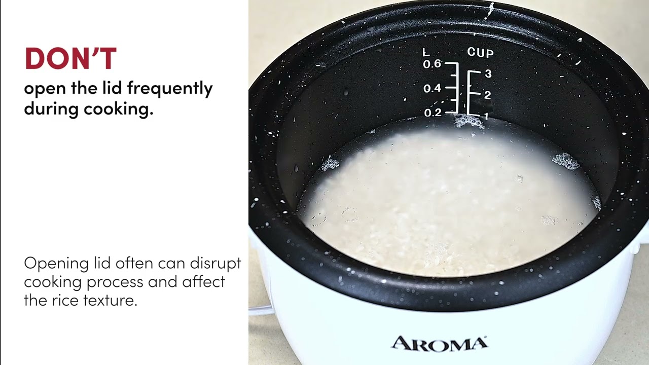 Pot Style Rice Cooker: Dos and Don'ts for Perfect Cooking!
