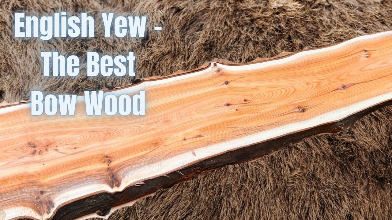 The very best wood for an English Longbow