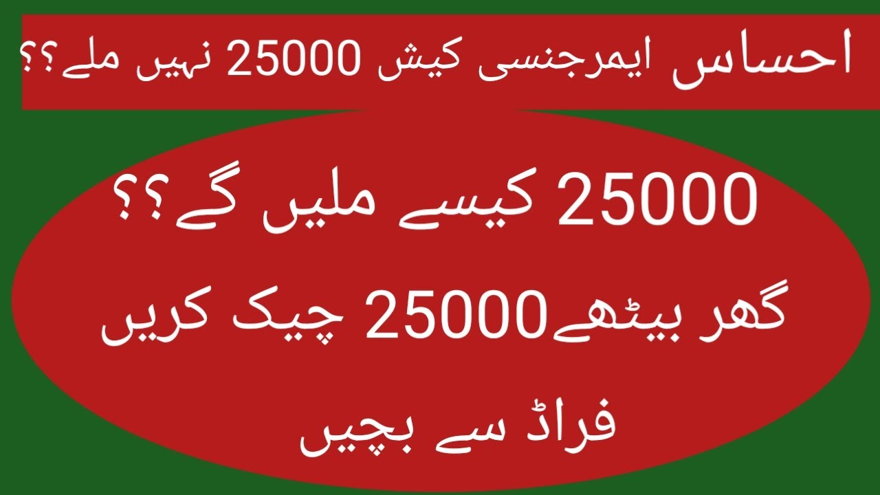 HOW TO GET EHSAS EMERGENCY CASH 25000//EHSAS KAFAALAT PROGRAM/ FLOOD RELIEF FUND