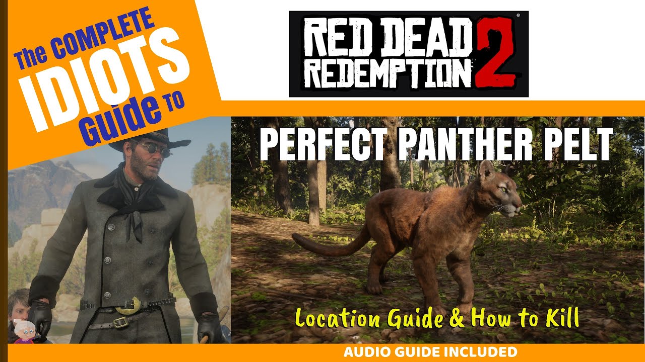 Идеальная шкура пантеры — полный аудиогид — путеводитель Idiots по RDR2