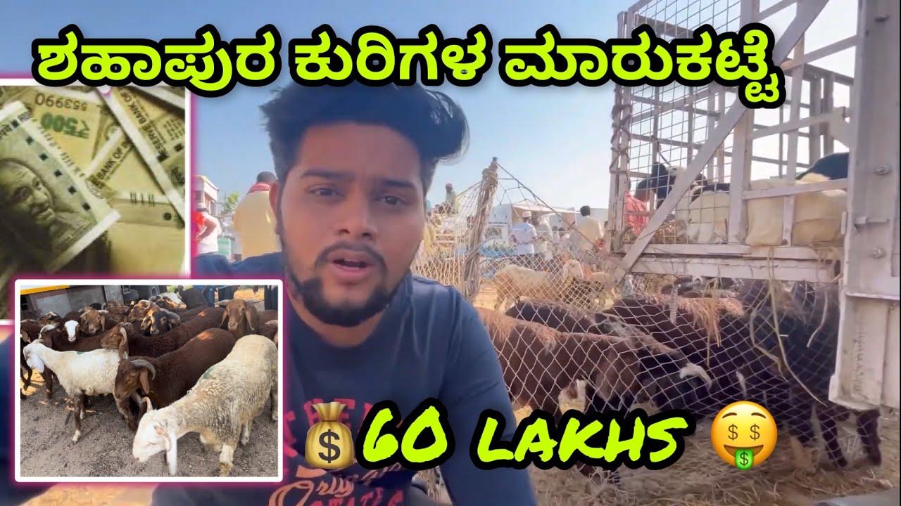 🤑60 lakhs🤩Shahapur goat market | ashwanth vlogs | #vlog #kannada #yadgir #shahapur
