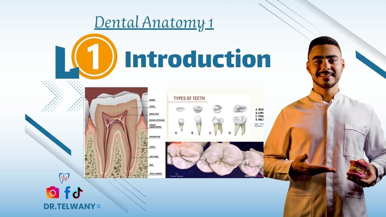 Lecture 1 || overView Human Dentitions