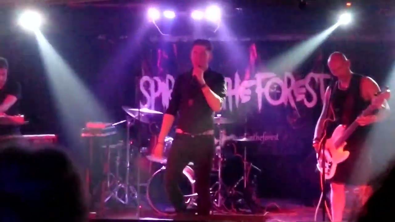 Spirit In The Forest - Policy Of Truth (Depeche Mode cover) - Warszawa, Klub Potok 20.07.2024