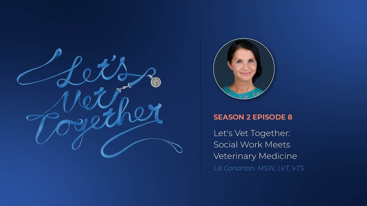 Let's Vet Together: Social Work Meets Veterinary Medicine