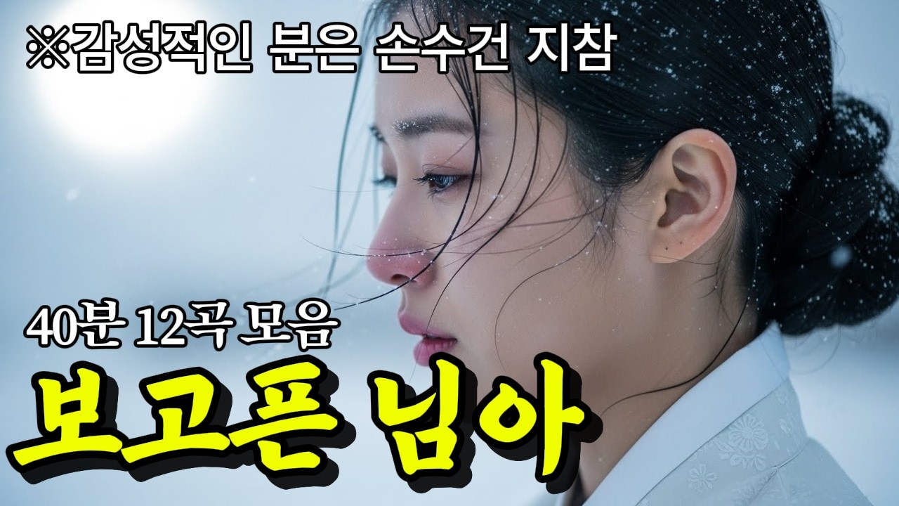 🎧세월은 흘러도 그 마음은 남아 가슴 시린 겨울 감성 트랙 #사극풍 #국악풍 #퓨전국악