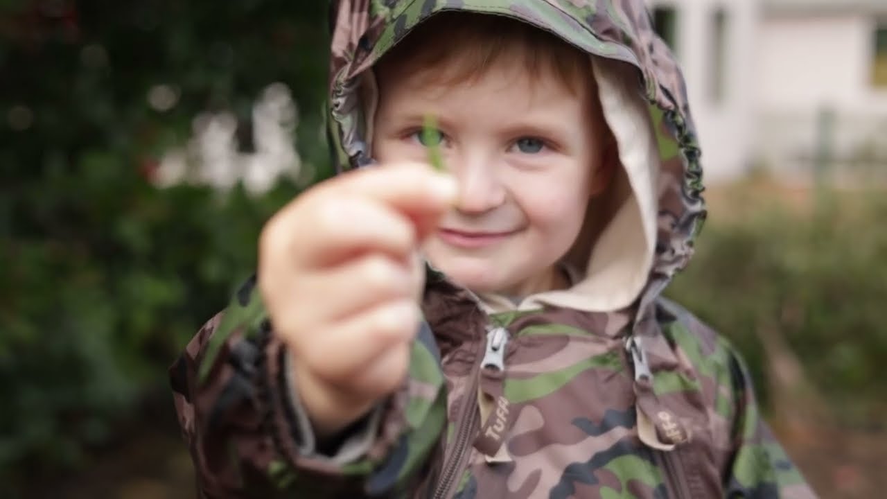 Play Grove Promo Video