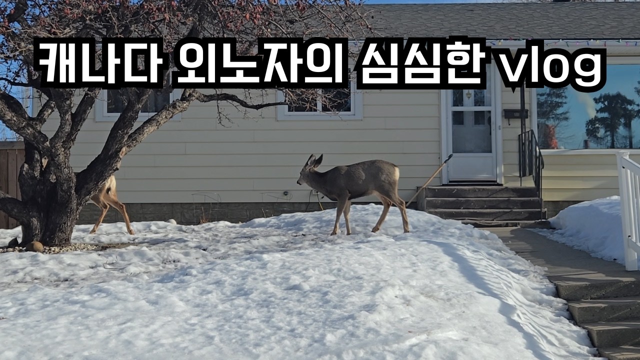 뭔가 일이 자꾸 생길땐, 아~무것도 안하고 일만 해야해.